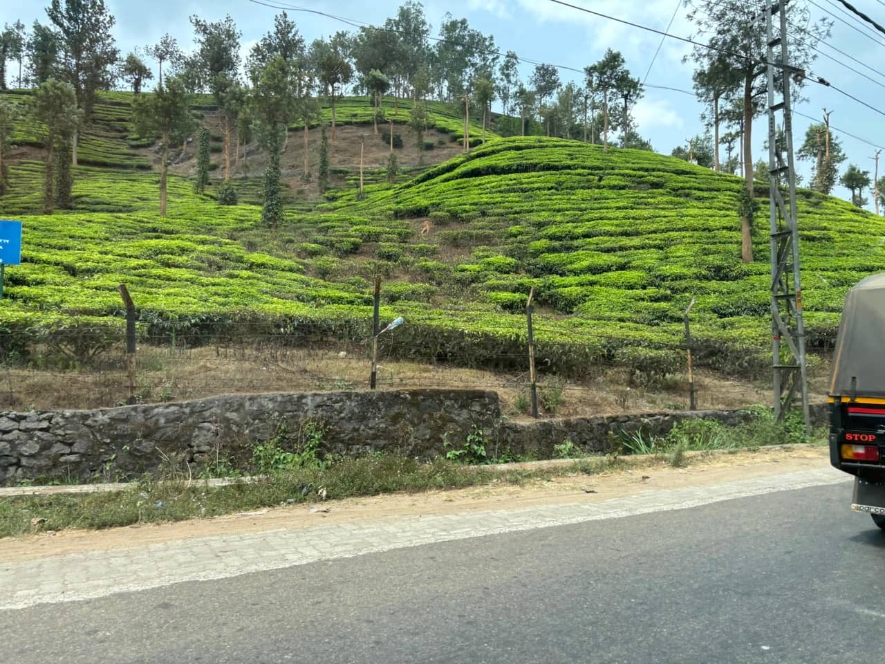 8 Best Homestays in Kerala for an Authentic, Memorable Stay