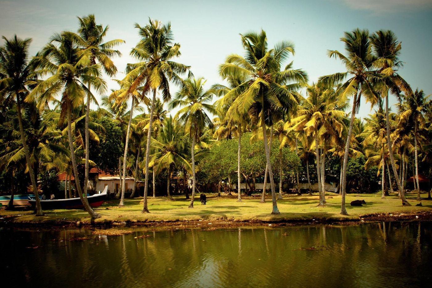 ayurvedic resorts in kerala.